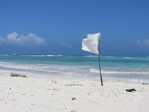 מבט על פיוס